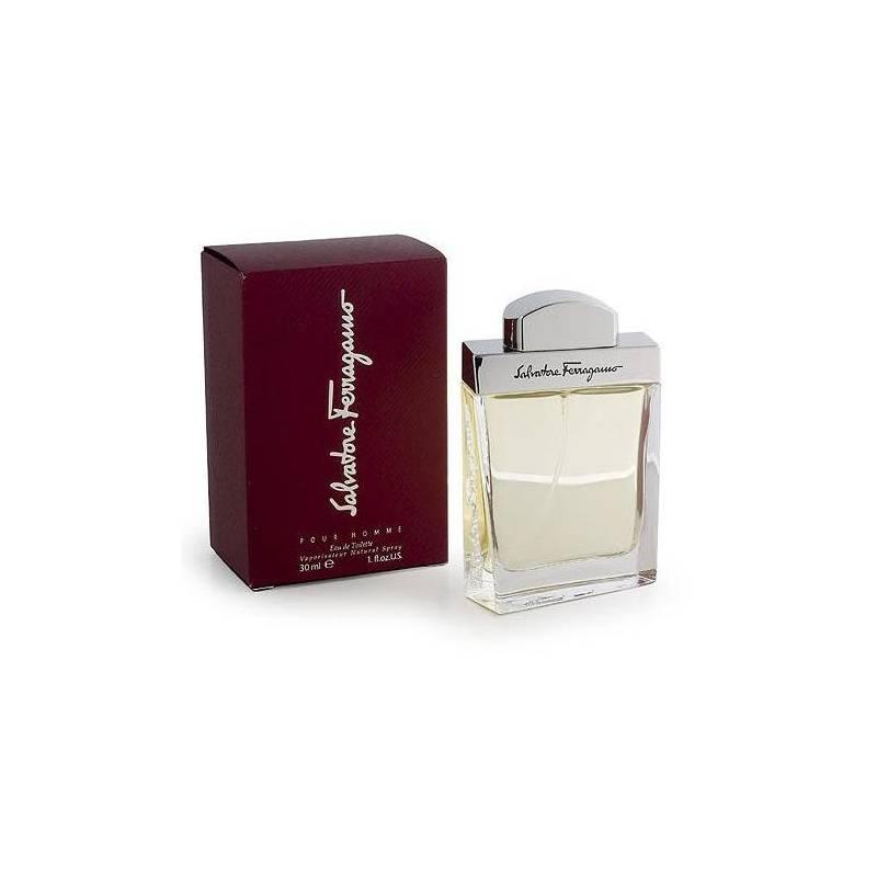 Toaletní voda Salvatore Ferragamo Pour Homme 100ml, toaletní, voda, salvatore, ferragamo, pour, homme, 100ml